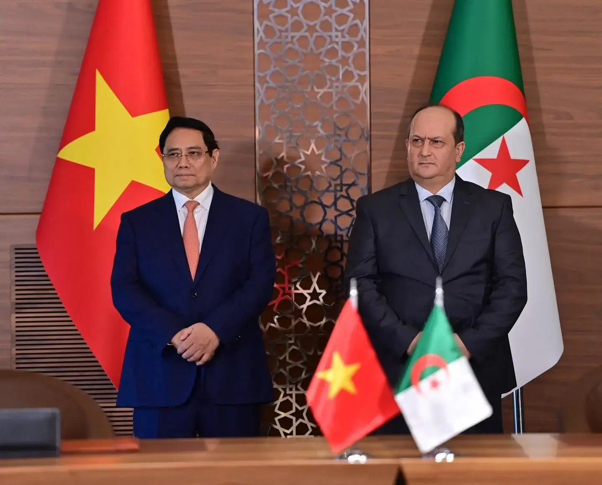 𝗔𝗹𝗴𝗲𝗿𝗶𝗮𝗻 𝗜𝗻𝘁𝗲𝗹𝗹𝗶𝗴𝗲𝗻𝗰𝗲 tweet media