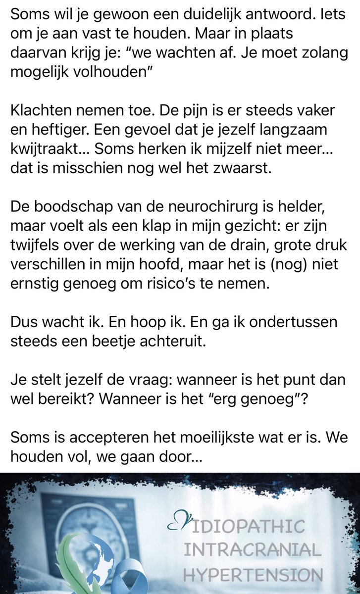 #IngeborgVraagt🍀😇 tweet media