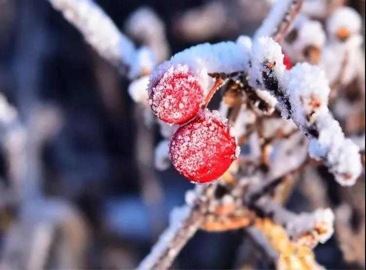 Lamiaa Elsakhawy  tweet media