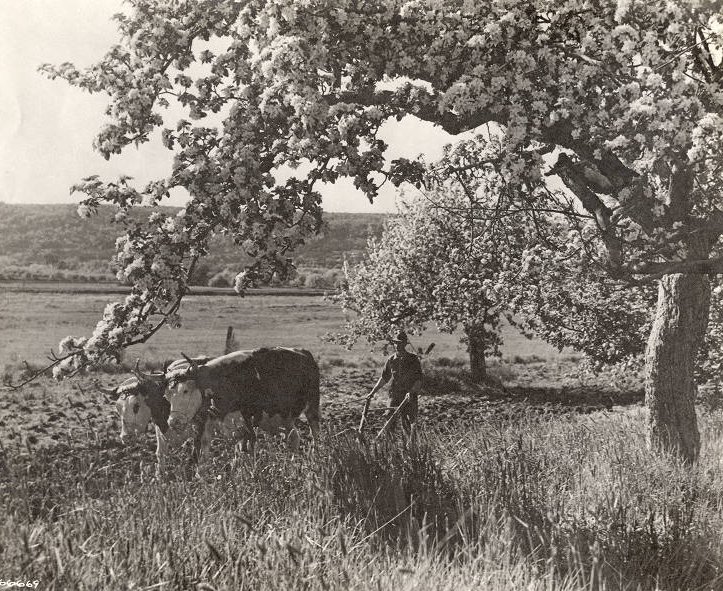 LiterateIndy tweet media