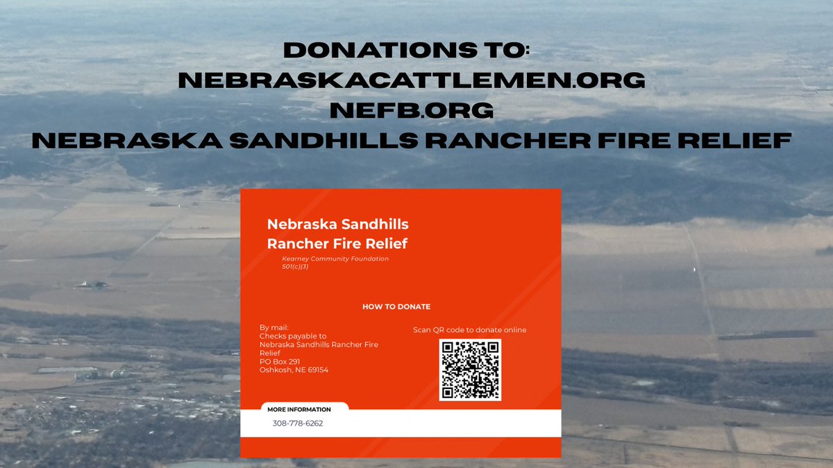 Susan Littlefield tweet media