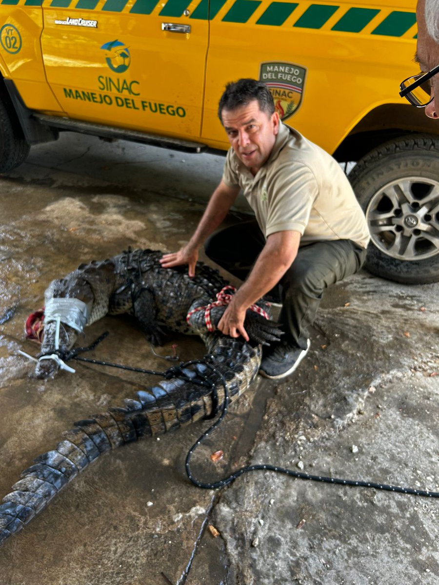 Ministerio de Ambiente y Energía de Costa Rica tweet media