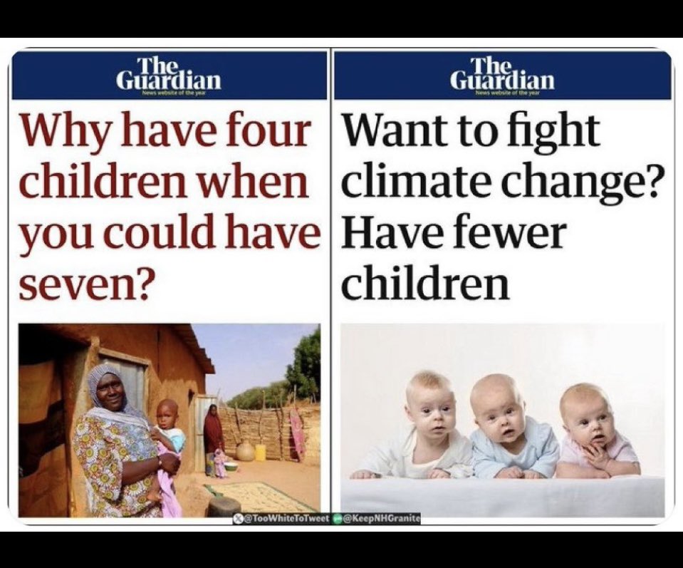 NovemberRain 🇺🇸 tweet media