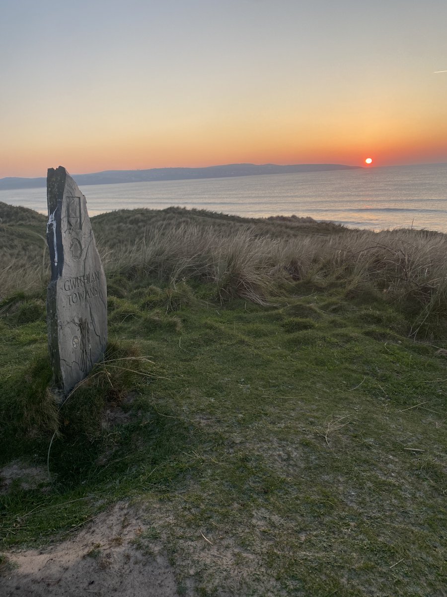 Paxmere..🕷️🏴‍☠️ 🐝🌹〓〓 🏴󠁧󠁢󠁥󠁮󠁧󠁿🇪🇺🦋 tweet media