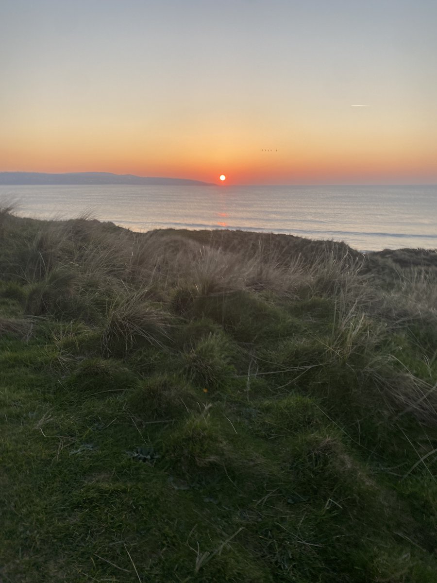 Paxmere..🕷️🏴‍☠️ 🐝🌹〓〓 🏴󠁧󠁢󠁥󠁮󠁧󠁿🇪🇺🦋 tweet media