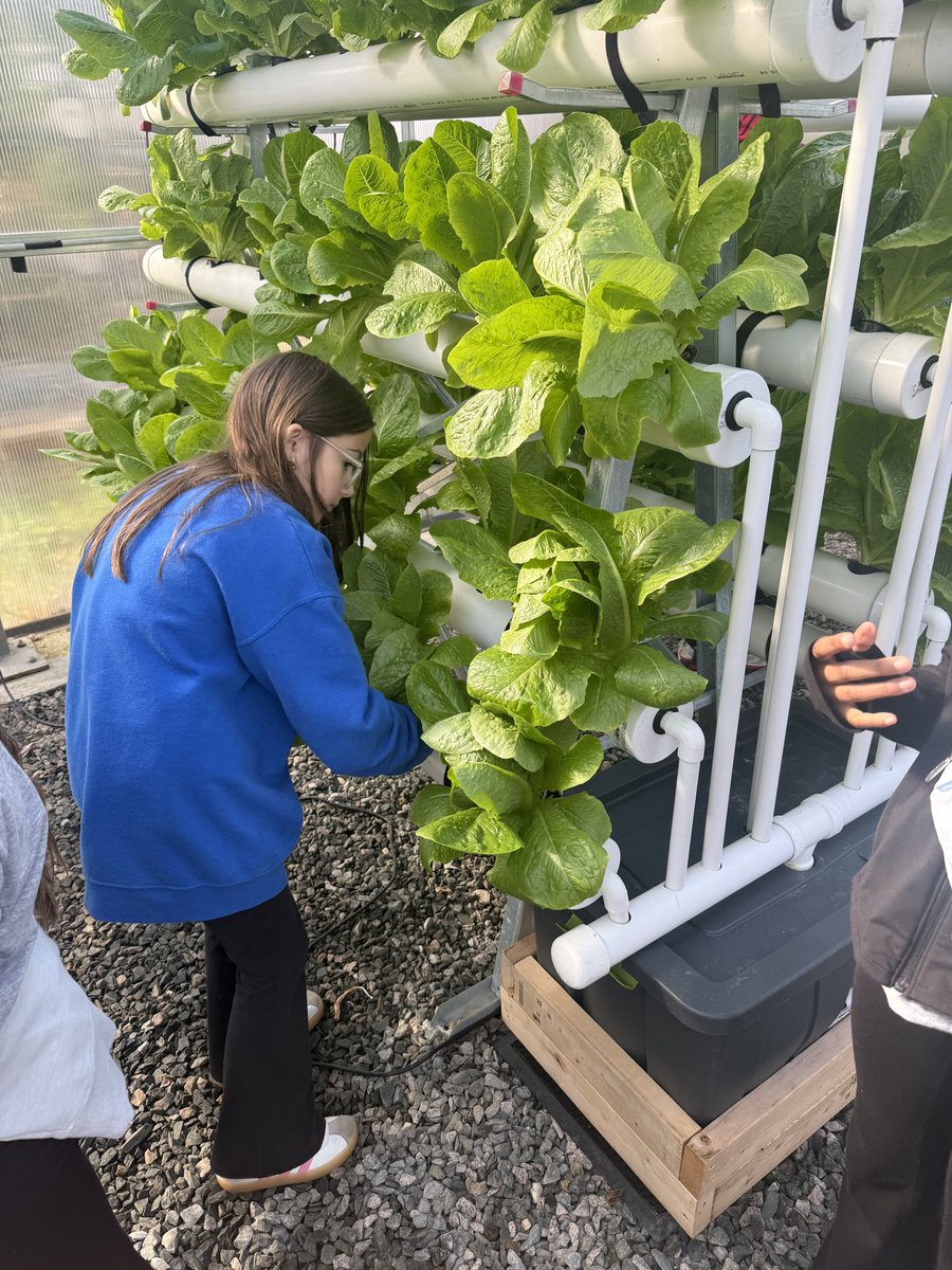 Prospect Elementary School tweet media