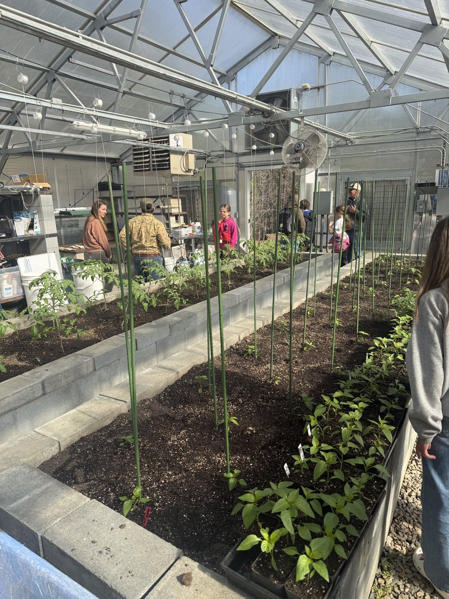 Prospect Elementary School tweet media