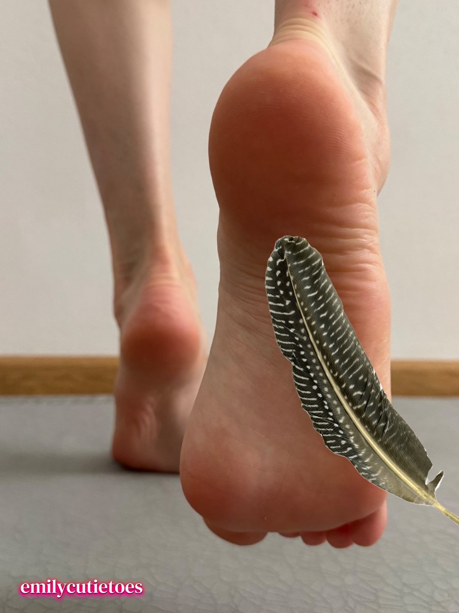 MasterTickler_42 tweet media