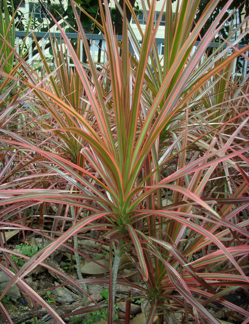 batman moussi 7 tweet media