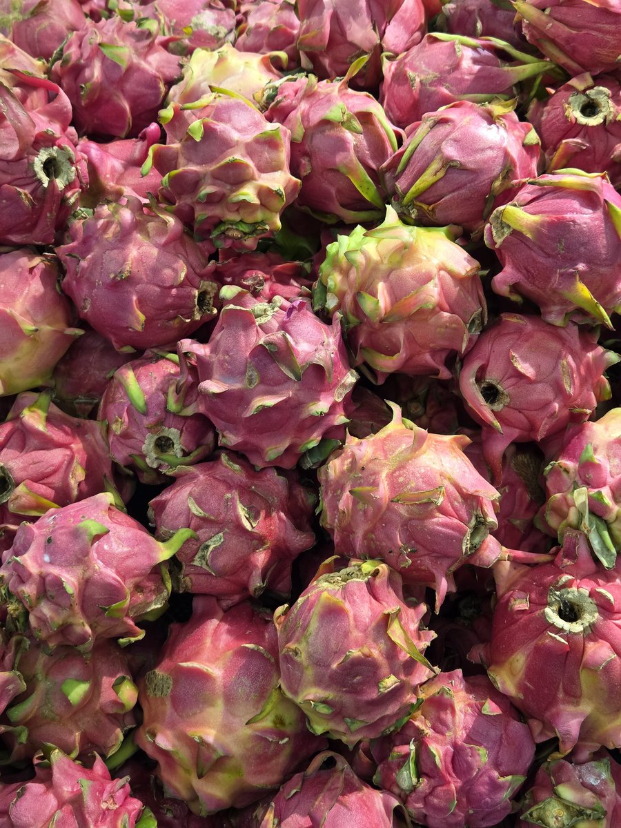 Kim 🥷 tweet media