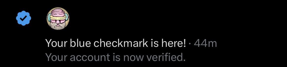 Little Cricket tweet media