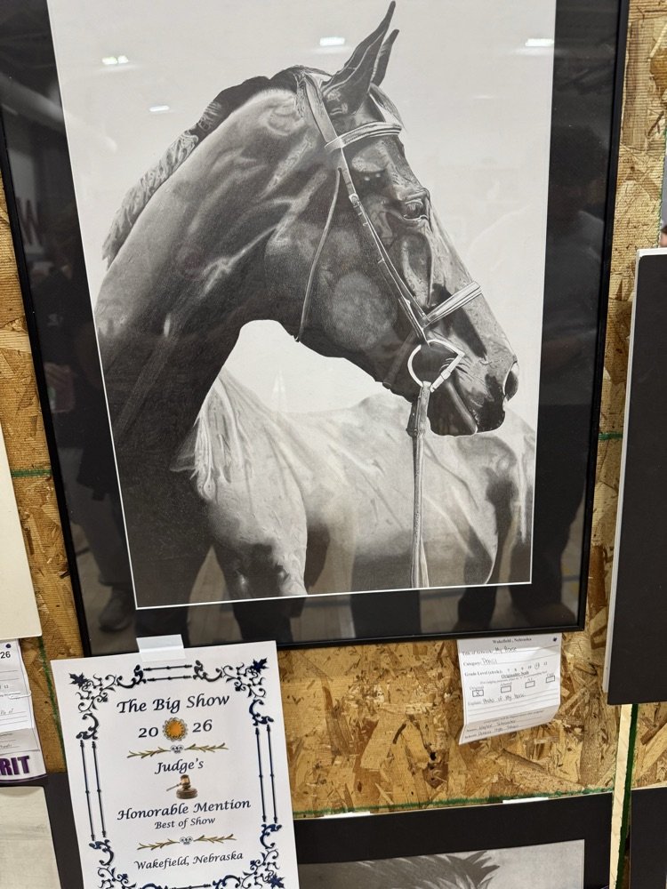 Pender Public School tweet media