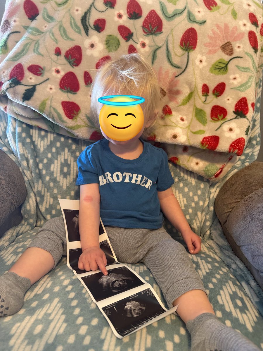 𝘍𝘭𝘰𝘨𝕏𝘖 tweet media