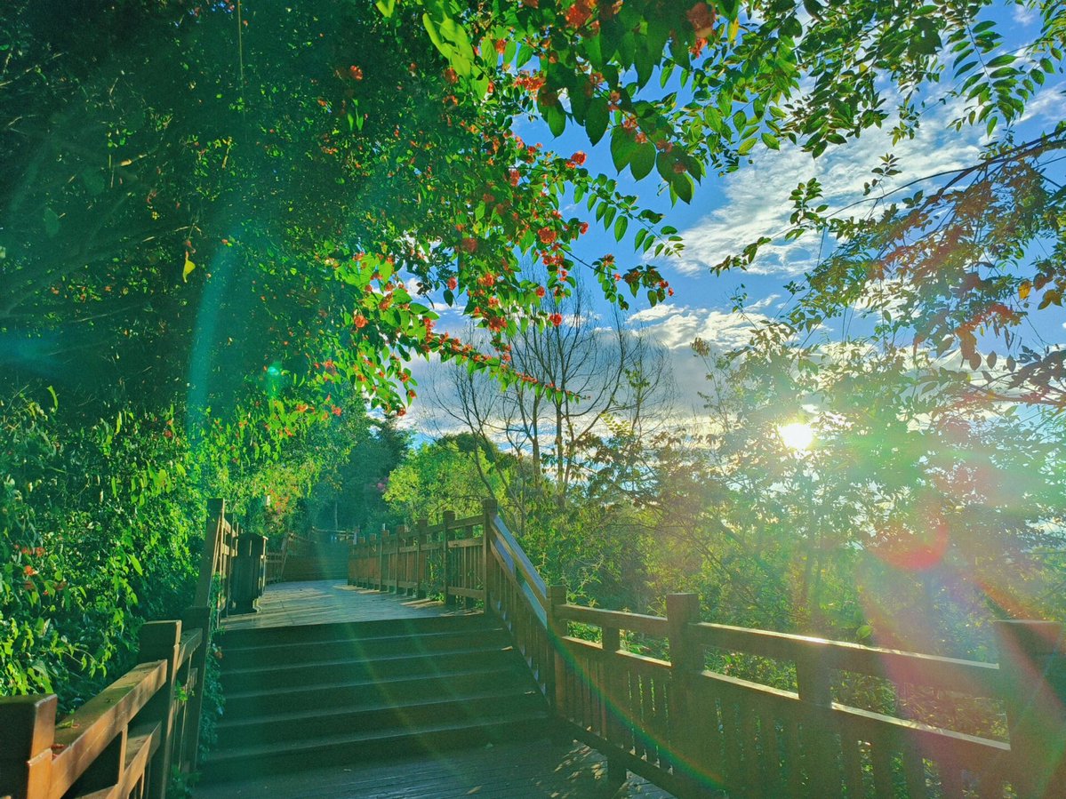 Joseph Thompson tweet media