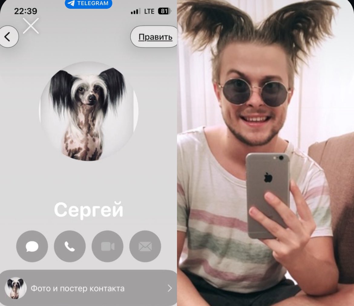 Гном Пельменыч tweet media