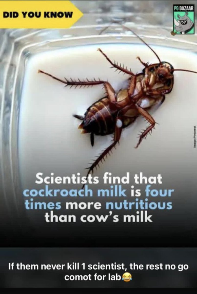 OBULE de UI/UX ChieF tweet media