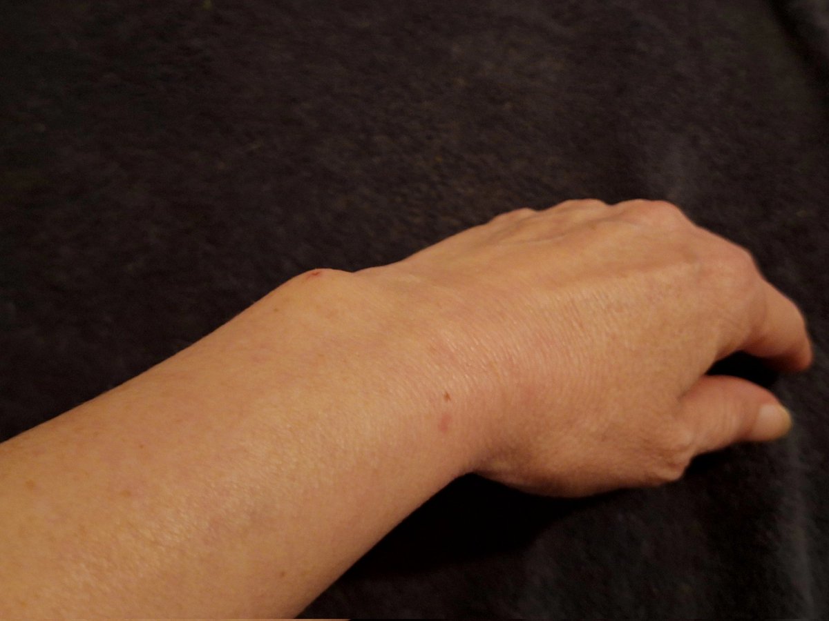 Pour une nouvelle vie tweet media