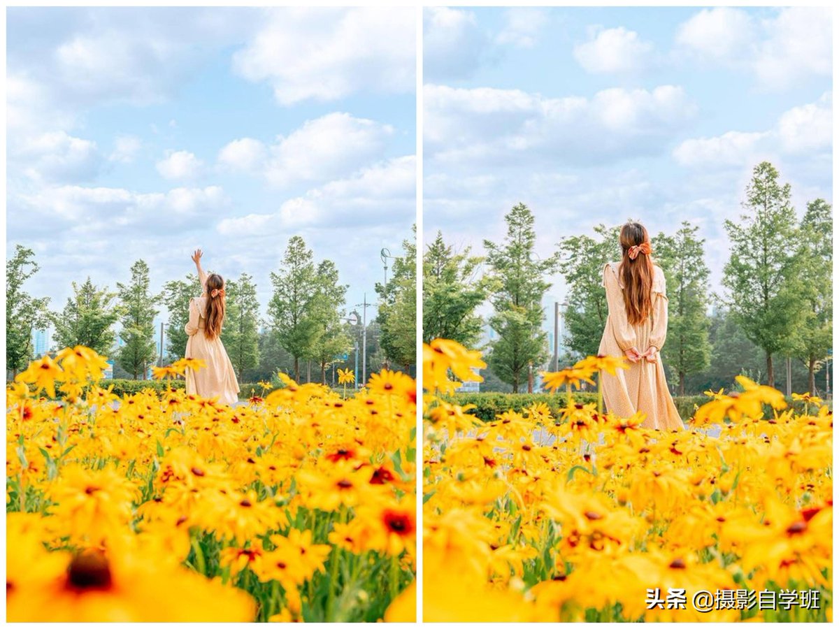 Dario Romano tweet media