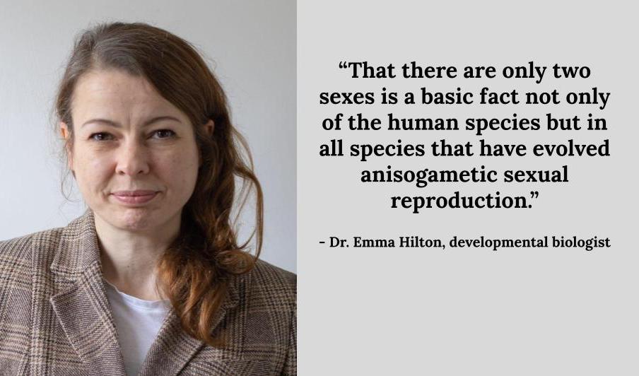 Supernova tweet media