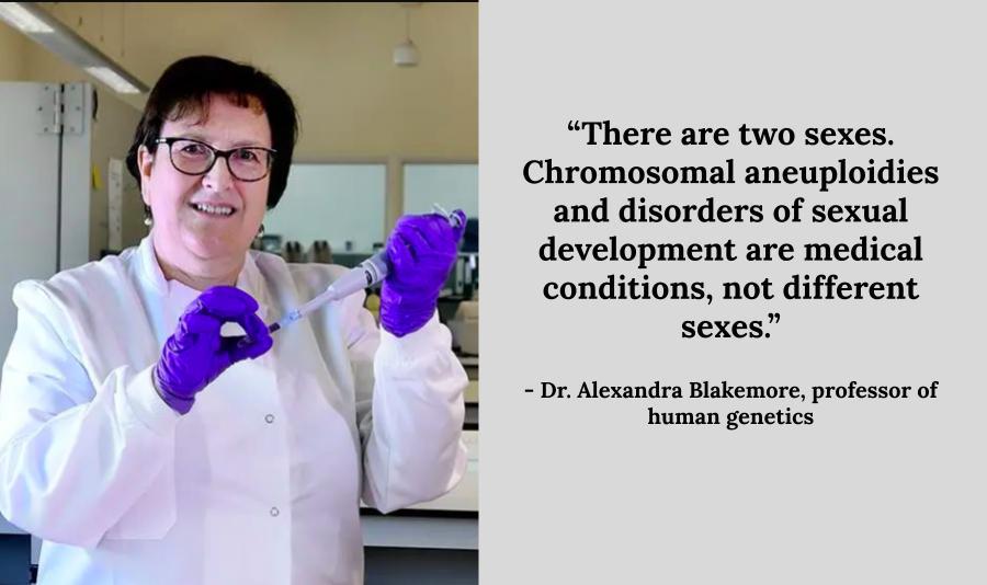 Supernova tweet media