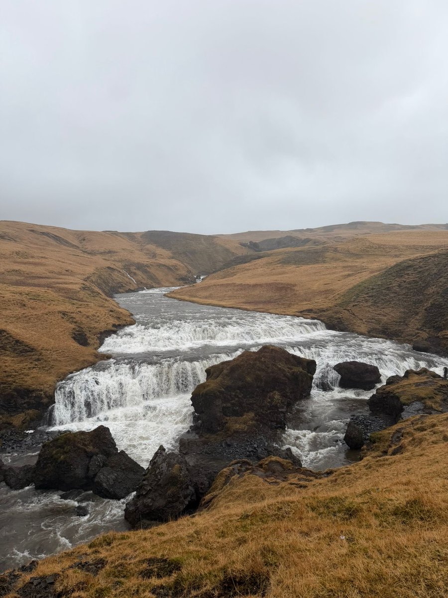 Parpiglia's tweet image. #island