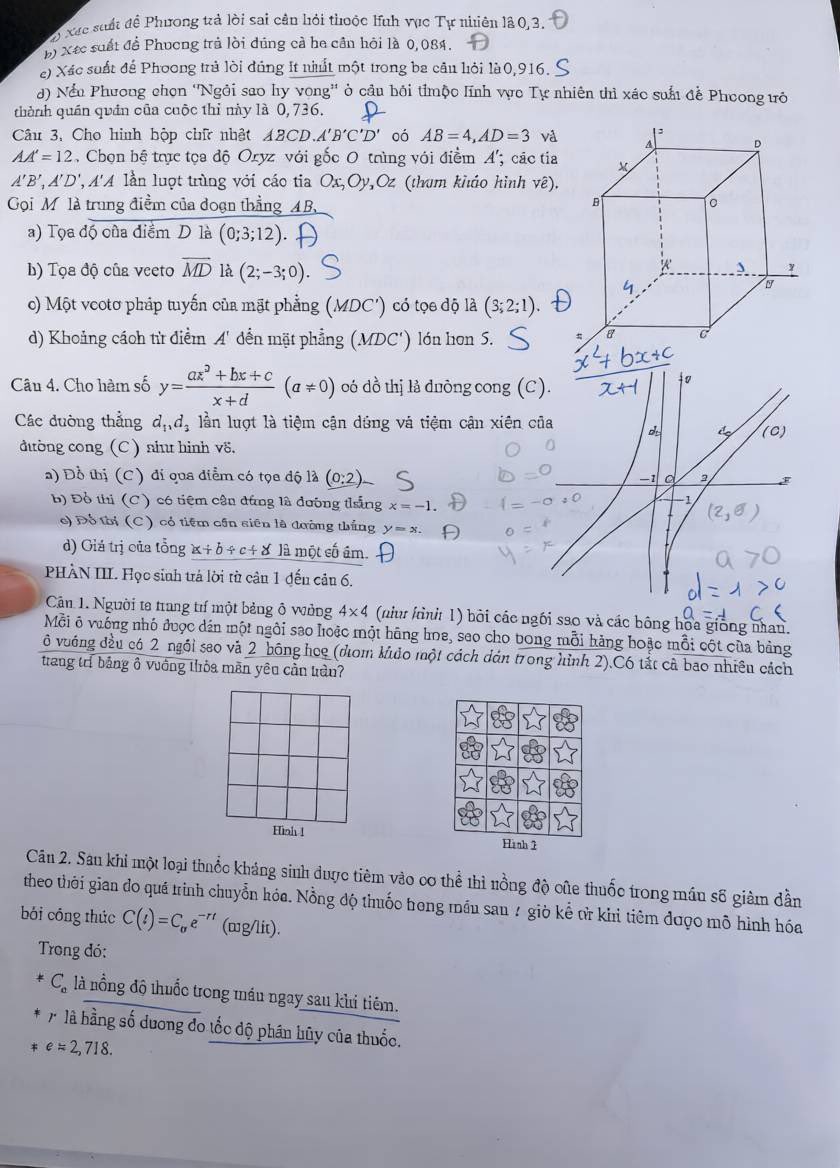 haley !! tweet media