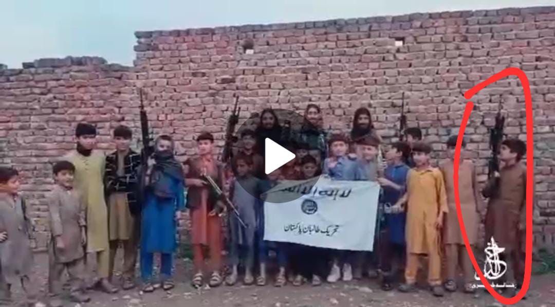 Hina Parvez Butt tweet media