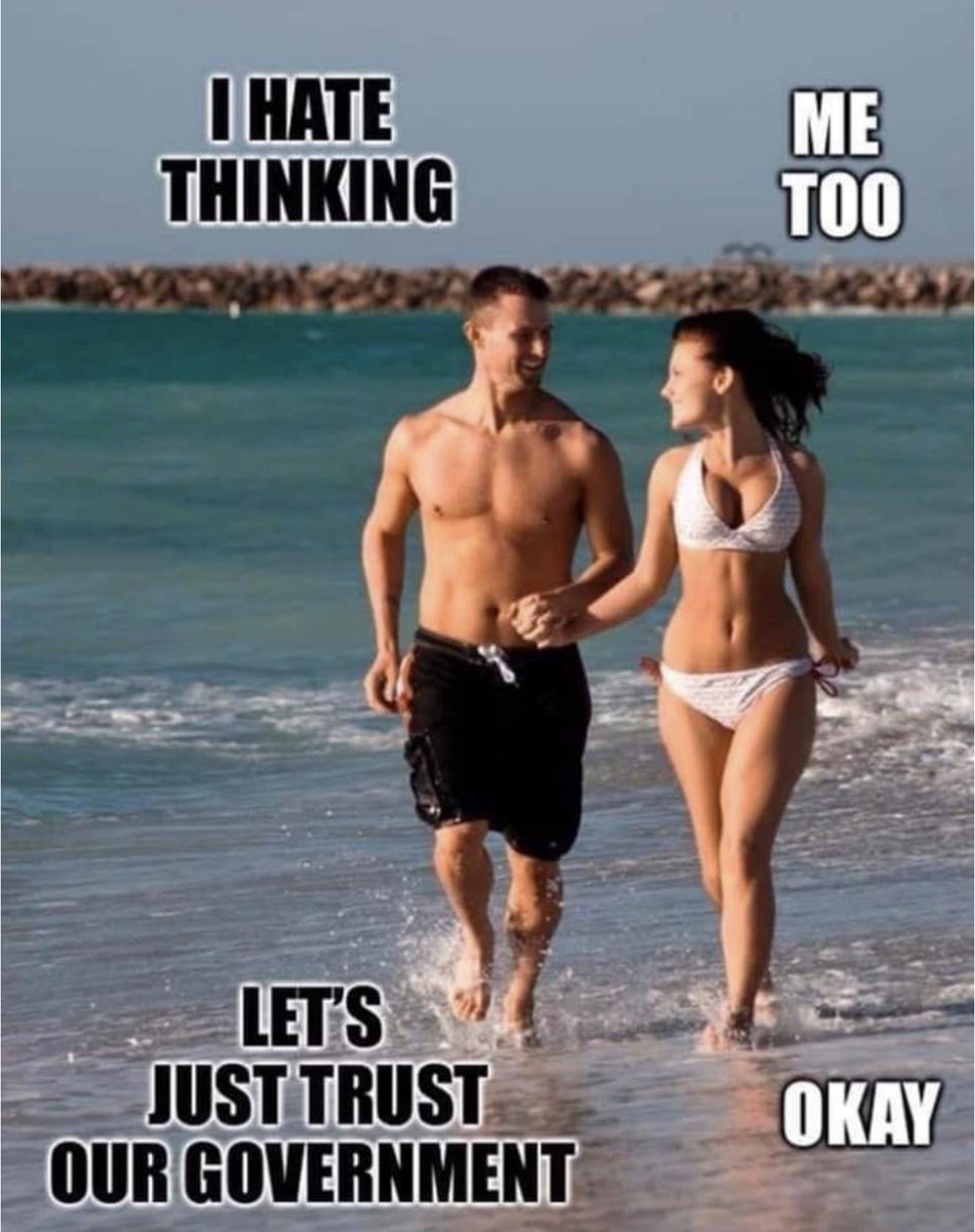 Elaine Shtein tweet media