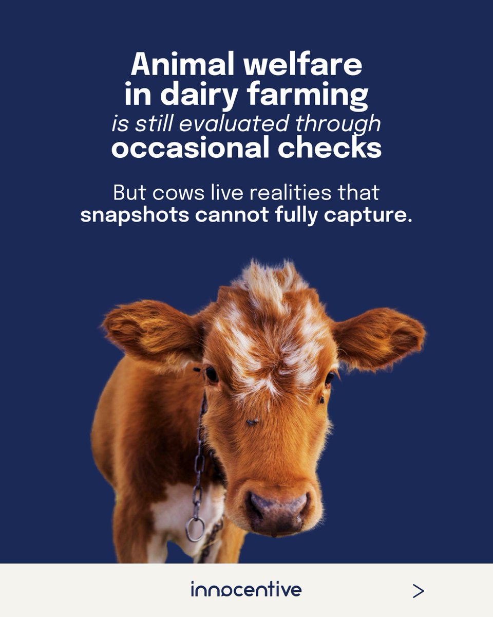 Innocentive tweet media