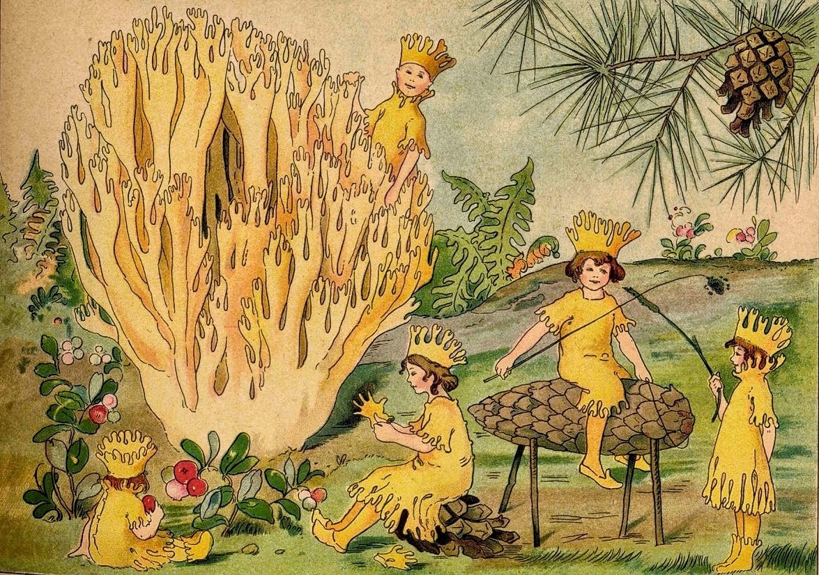 PNEUMATYCZNA DUSZA tweet media