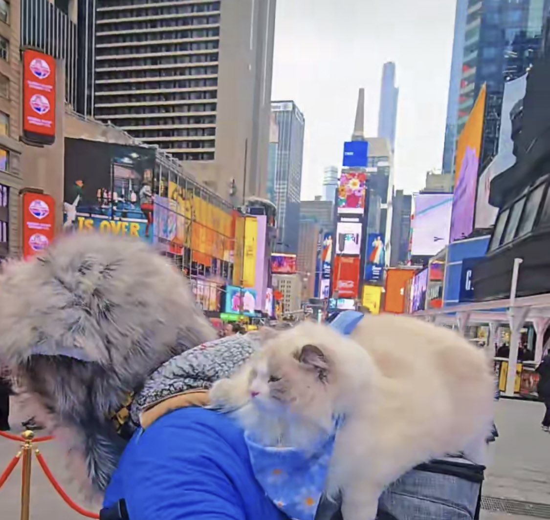 yagulito tweet media