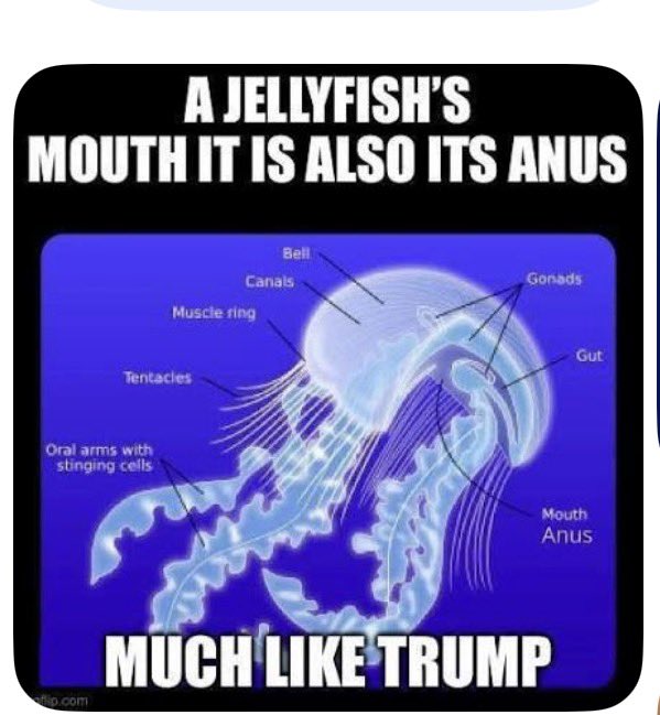 Bob De Resistance tweet media