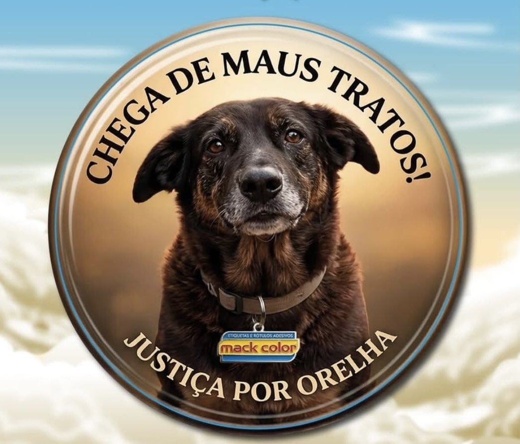 Todos os dias vamos postar algo sobre o Orelha. O crime do qual ele foi vítima jamais será esquecido. Lutaremos sempre por punições severas para quem maltrata animais.

#JustiçaPorOrelha #FederalizaçãoDoCasoOrelha #CPIDoOrelha