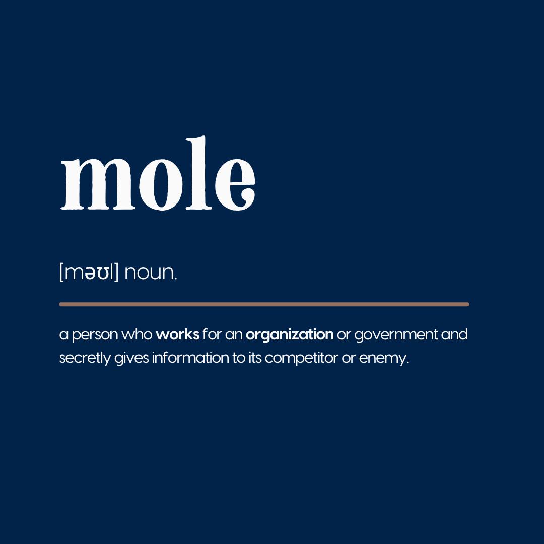 🇺🇸 ⚡Right-On Randy⚡🇺🇸 tweet media