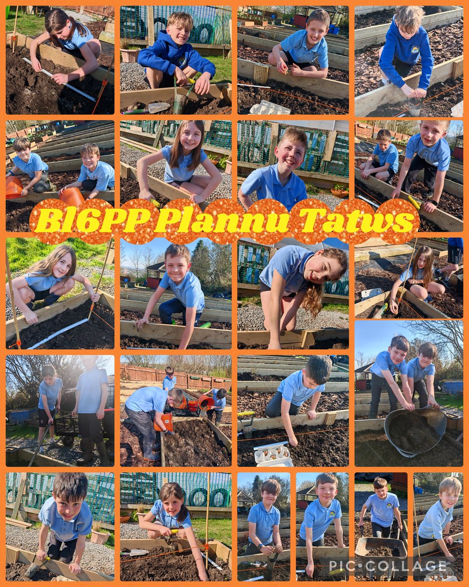 Swiss Valley tweet media