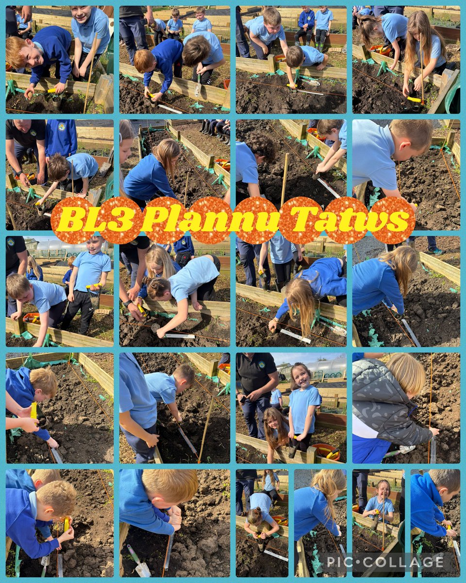 Swiss Valley tweet media