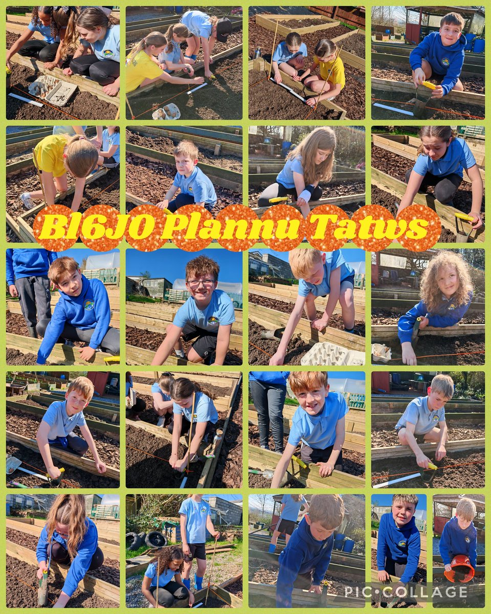 Swiss Valley tweet media