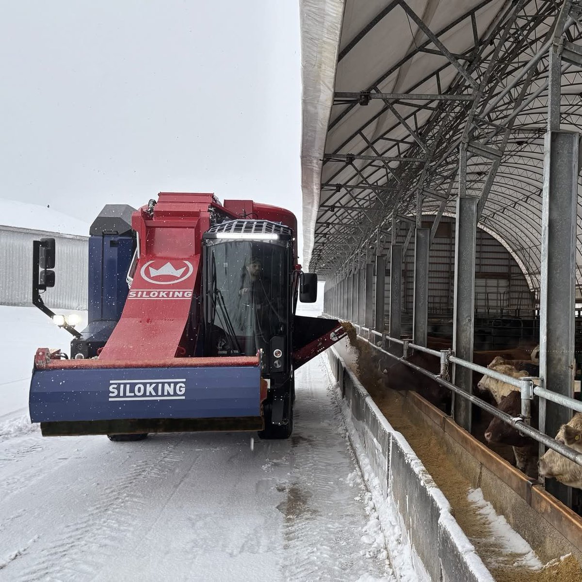 Siloking Canada tweet media