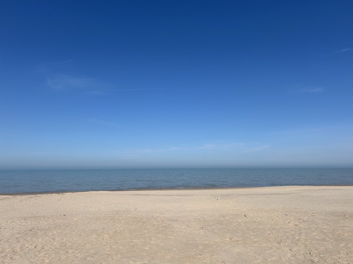 Jordan B. Goldstein | The Athletic Philosopher🌳🪓 tweet media