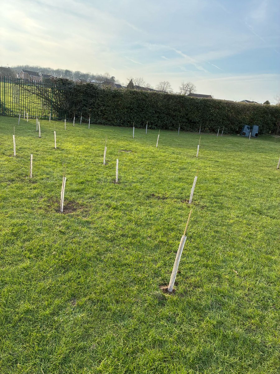 Danesholme Infant Academy tweet media