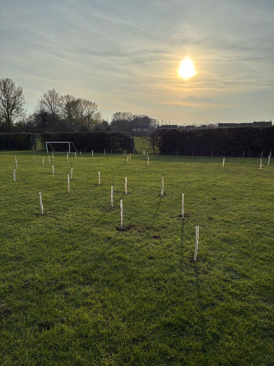 Danesholme Infant Academy tweet media