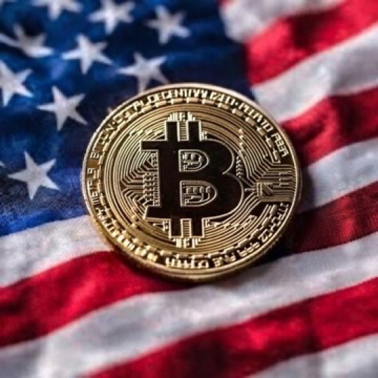 CryptoGoos tweet media