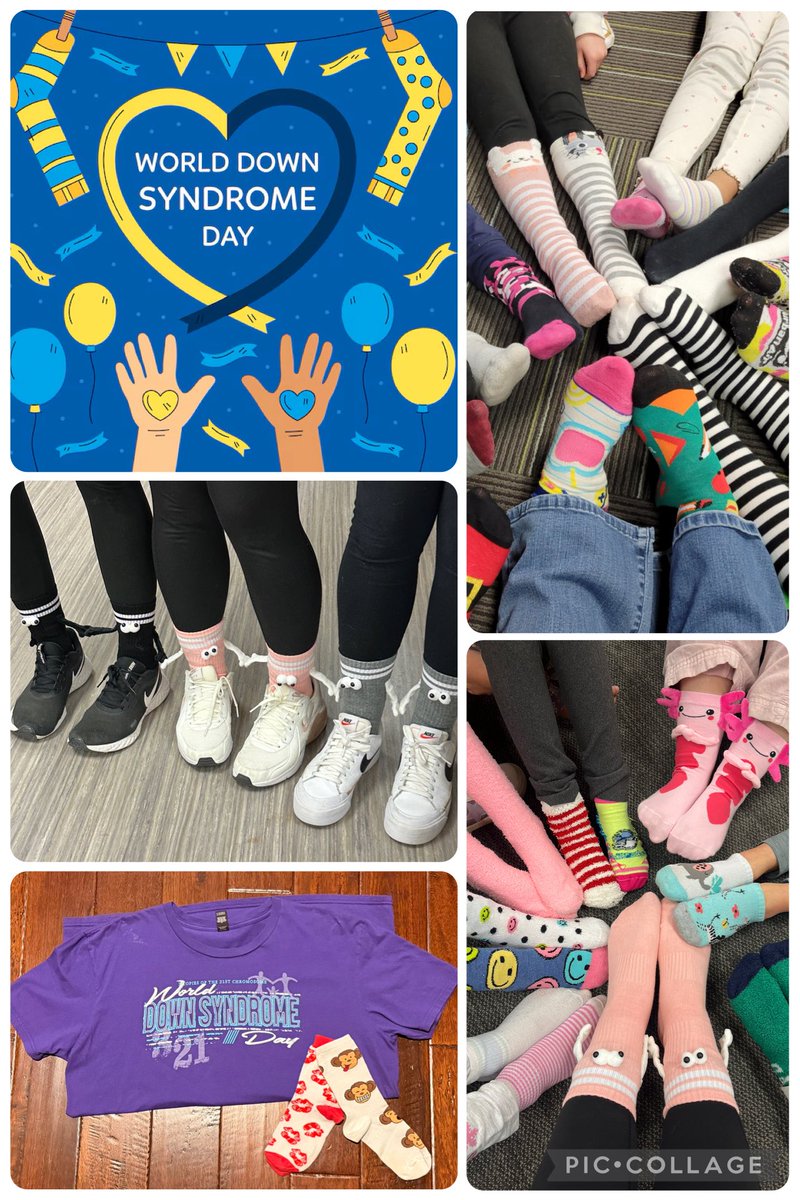 Robin Cottone tweet media