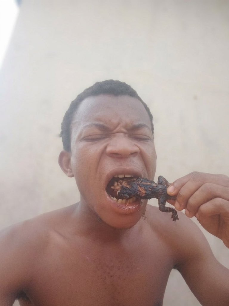 Queen Ella☢️✂️❤️ tweet media