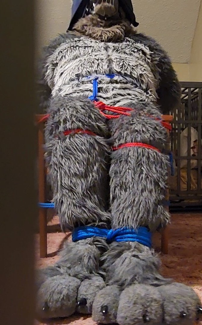 ⛓️Rep, Bound Wolf⛓️ tweet media