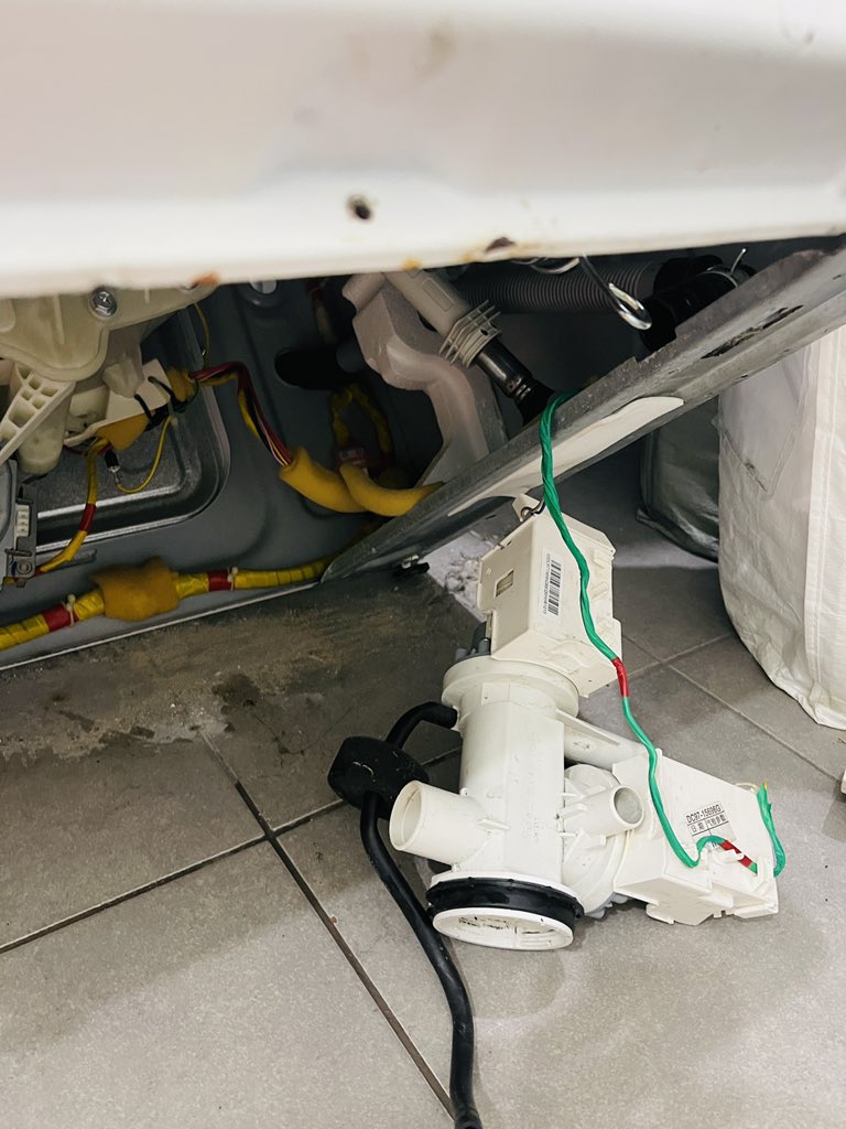 DaViD B ☀️🐈‍⬛ tweet media