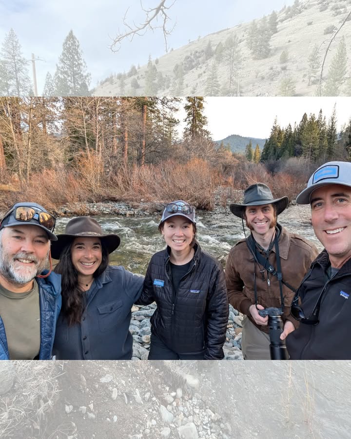 California Trout tweet media