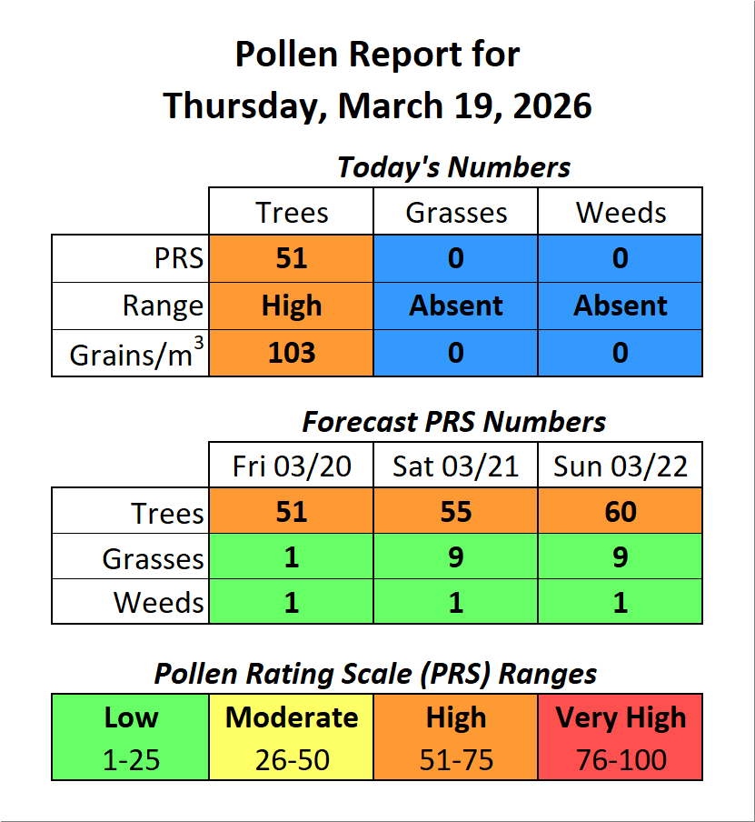 Forsyth County, NC Pollen tweet media