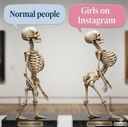 ExtremeOffMeme's tweet photo. https://t.co/3z6jqCX6AN