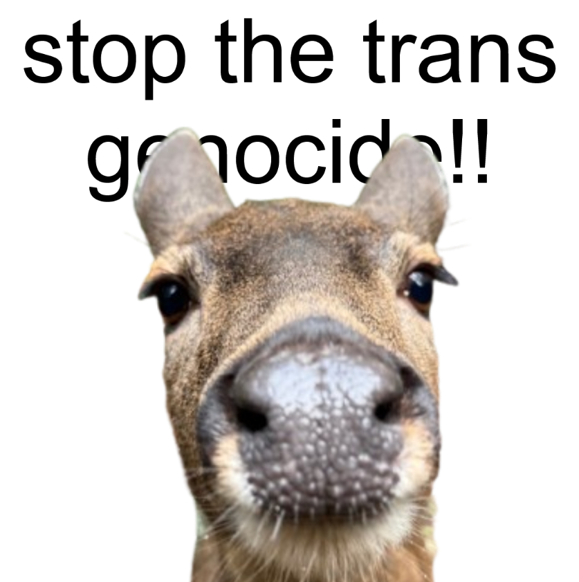 deertexting's tweet photo. https://t.co/OZljkkNQUL